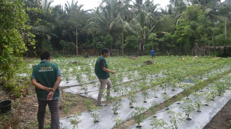 Program Desa Bangkit Sejahtera LAZ Hadji Kalla kini ke tengah Sulawesi tepatnya Donggala Sulawesi Tengah