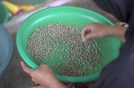 HUT ke-417 Kota Makassar, Tokopedia dan ShopTokopedia Bagi Kisah UMKM Bangkitkan Semangat Petani Kopi