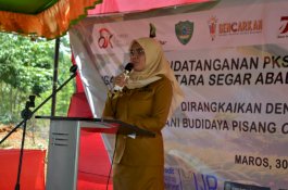  Pemkab Maros Akan Tata Kembali Jam Operasional Pasar Subuh Tramo