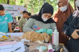 Peringati Hari Rabies Sedunia, BB Vet Dan Pemkab Maros Gelar Vaksinasi Rabies