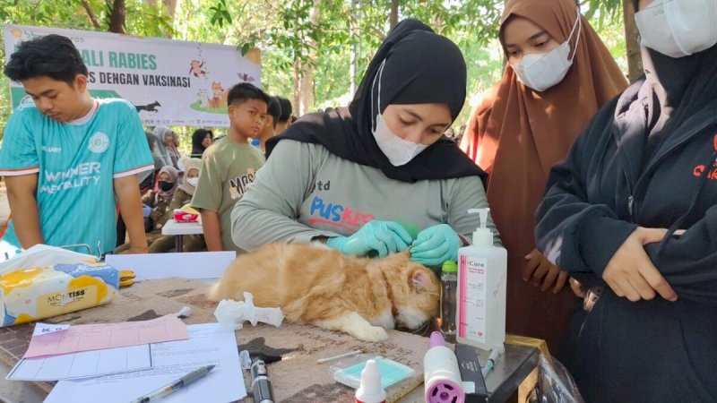 Peringati Hari Rabies Sedunia, BB Vet Dan Pemkab Maros Gelar Vaksinasi Rabies