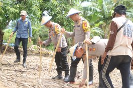 Dukung Program Asta Cita Ketahanan Pangan Presiden Prabowo, Polres dan Dinas Pertanian Wajo Tanam Jagung