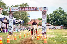  Fathan, Putra Bupati Maros Raih Juara Satu Nasional Memanah Berkuda
