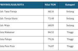 Tingkat Gemar Membaca di Gowa Urutan Kedua di Sulsel