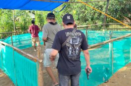 Polisi Bongkar Arena Sabung Ayam Terbesar di Pangkep