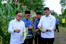 Bupati Gowa Terima Kunjungan Silaturahmi Wamendagri