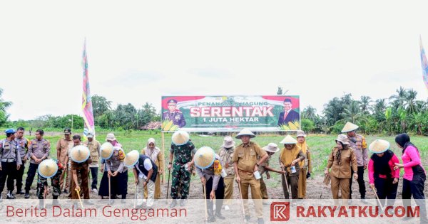 Dukung Swasembada Pangan Nasional, Lahan Mapolsek Sabbangparu Ditanami Jagung