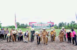 Dukung Swasembada Pangan Nasional, Lahan Mapolsek Sabbangparu Ditanami Jagung
