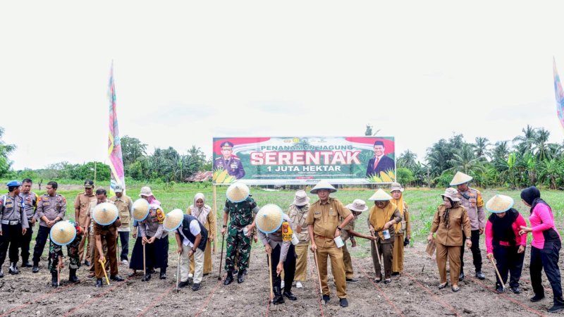 Dukung Swasembada Pangan Nasional, Lahan Mapolsek Sabbangparu Ditanami Jagung