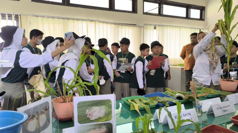 Siswa SMP Islam Athirah Bukit Baruga berkunjung ke Balai pengujian standar instrumen tanaman serealia Maros