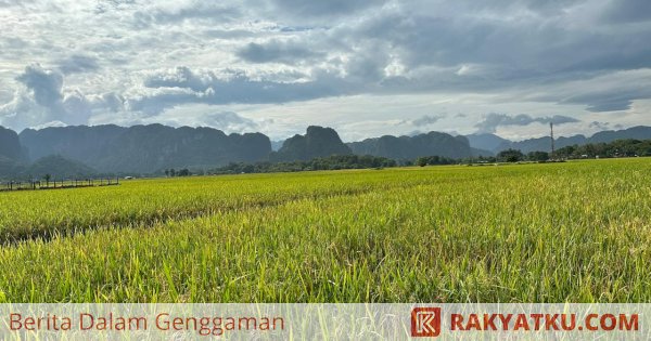 Akademisi Apresiasi Prof Fadjry Djufry Soal Target Sulsel Swasembada Pangan