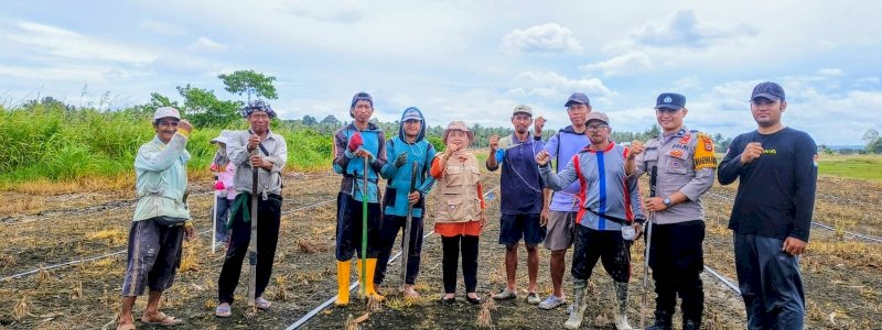 Polsek Belawa, PPL dan Poktan Tanam Jagung di Kelurahan Malakke