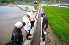 Perbaikan Irigasi Tersier di Bulukumba Ditinjau Langsung Penjabat Gubernur Sulsel 