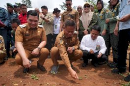 Penjabat Gubernur Sulsel Dukung Program Agroforestry untuk Swasembada Pangan Nasional