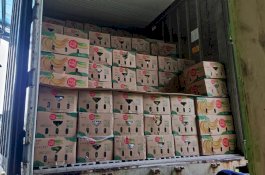 Dorong Pelaksanaan Program Holtikultura Pemprov Sulsel dan PT CAP jalin Kerjasama