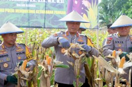 Kapolda Sulsel Panen Raya Jagung dan Kunjungi Pembagian Makanan Bergizi Gratis di Kecamatan Pammana