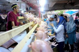 Jelang Idul Fitri, Bupati Gowa Tinjau Harga Bahan Pokok