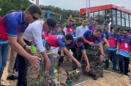 Wujud Kepedulian Lingkungan Pertamina Patra Niaga Sulawesi lepas Penyu dan Burung Maleo di Tolitoli