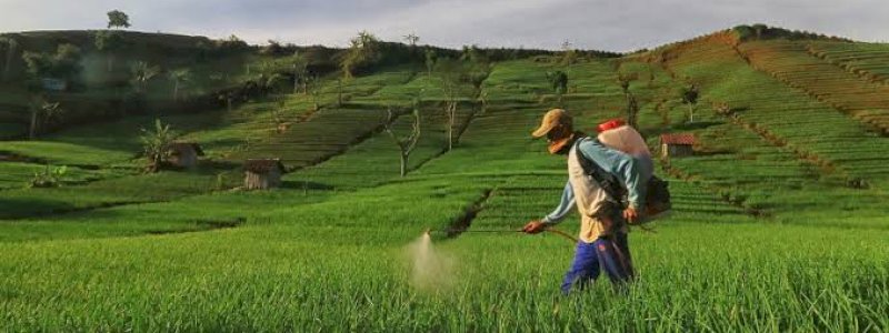 Dinas Pertanian Barru Koordinasi dengan Bulog Stabilkan Harga Gabah Sesuai Aturan Pemerintah