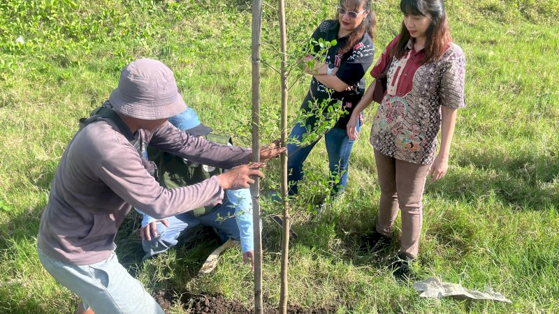 Peringati hari pohon Asmo sulsel lakukan penanaman pohon 