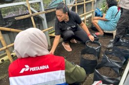 Kolaborasi Hijau Wujudkan Ketahanan Pangan Keluarga, Pertamina Patra Niaga IT Bitung Dukung Pemberdayaan Ibu Rumah Tangga Melalui Hidroponik