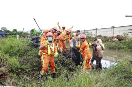 Komitmen BTIIG Menjaga Lingkungan, dari Tanam Pohon Hingga Bersih-Bersih Saluran Drainase