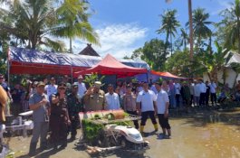 Dukung Ketahanan Pangan Nasional, Bupati Maros Ikut Penanaman Padi Serentak