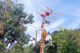 Tingkatkan Keandalan Jaringan Listrik, Pasukan Khusus PLN UID Sulselrabar Tuntaskan 82 Titik Pekerjaan di Kabupaten Bantaeng