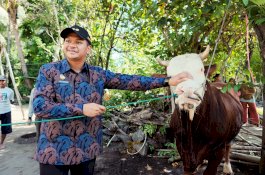 Bupati Bantaeng Uji Nurdin Terima Sapi Kurban 802 Kg dari Presiden Prabowo