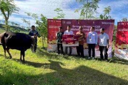 Telkomsel Bagikan Hewan Kurban ke Lebih dari 600 Titik Prioritas di Seluruh Penjuru Indonesia, Sambungkan Senyuman di Momen Iduladha 1446 H