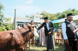 Bupati Bantaeng Serahkan Sapi Kurban Presiden Prabowo ke Warga