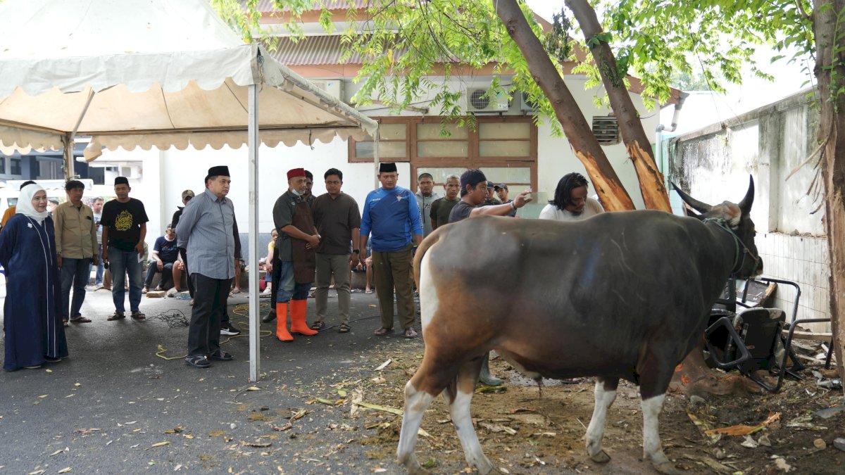 Pemkot Makassar, Bagikan Daging Kurban Kepada Pegawai dan Petugas Kebersihan