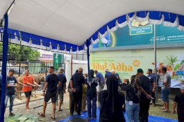 Pegadaian Kanwil VI Makassar Salurkan 80 Ekor Hewan Qurban, Wujud Nyata Kepedulian di Hari Raya Idul Adha 1446 H