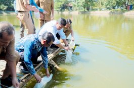 Bupati Bantaeng Uji Nurdin Lepas 25 Ribu Benih Ikan Bandeng di Empang Pantai Marina