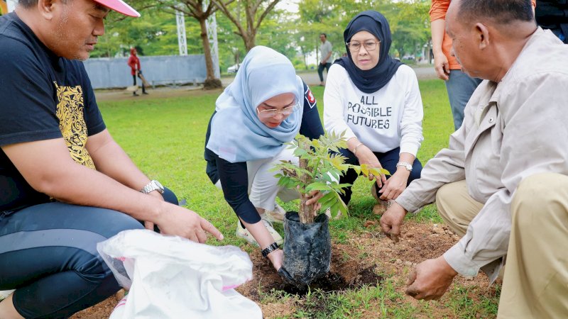 Bupati Barru Perbanyak Tanam Pohon Aju Berru di Alun-Alun