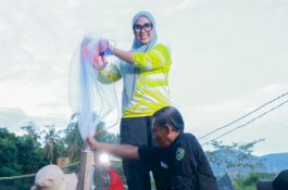 Bupati Andi Ina Kartika Sari Kunjungi Kolam Pembudidayaan Udang di Takkalasi