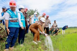 PLN Sulselrabar Bersinergi dengan Pemkab dan Polres Barru, Hadirkan Listrik Andal untuk Pertanian Modern