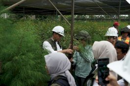 Menteri Kehutanan Apresiasi Langkah Konkret PT Vale Terapkan Praktik Pertambangan Ramah Lingkungan