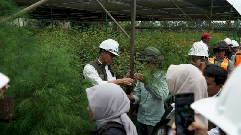 Menteri Kehutanan Apresiasi Langkah Konkret PT Vale Terapkan Praktik Pertambangan Ramah Lingkungan