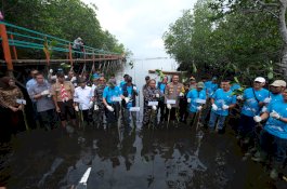 PT Vale Tanam 2.000 Mangrove dan Lakukan Restorasi Terumbu Karang di Pasi-Pasi Malili