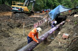 PT Vale dan Masyarakat Towuti Menapaki Jalan Pemulihan Berkelanjutan