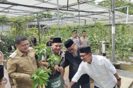 Pemkot Makassar Terus Dorong Urban Farming Jadi Lokomotif Pertanian Perkotaan Hingga RT/RW