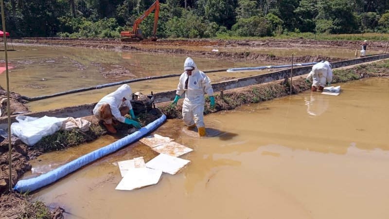 Investigasi Independen Tim Ahli di Towuti: Kebocoran Pipa Minyak Dipicu Geologi