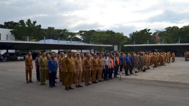 4.862 Honorer di Maros Resmi Lulus Sebagai PPPK Paruh Waktu