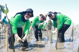 KALLA Tanam 41.000 Mangrove di Pangkep, Perkuat Komitmen Hijau untuk Laut Lestari