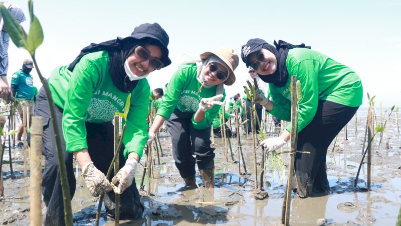relawan yang merupakan karyawan dari berbagai unit bisnis KALLA melanjutkan Aksi Mangrove Lestari dengan menanam ratusan mangrover di di Kelurahan Tekolabbua, Kabupaten Pangkep, beberapa waktu lalu.