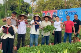 Panen Perdana Kebun Tetangga Cokonuri Jadi Bukti Nyata Komitmen CSR Astra Motor Sulsel