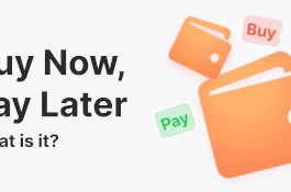 BNPL Tumbuh Pesat, Perbankan Kian Adaptif terhadap Tren Digital