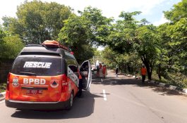 Tujuh Tiang Listrik Roboh di Makassar Akibat Pohon Tumbang, Akses Jalan Sempat Terhambat