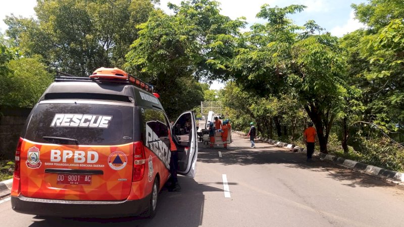 Tujuh Tiang Listrik Roboh di Makassar Akibat Pohon Tumbang, Akses Jalan Sempat Terhambat